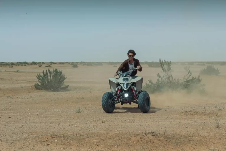 Desert Safari