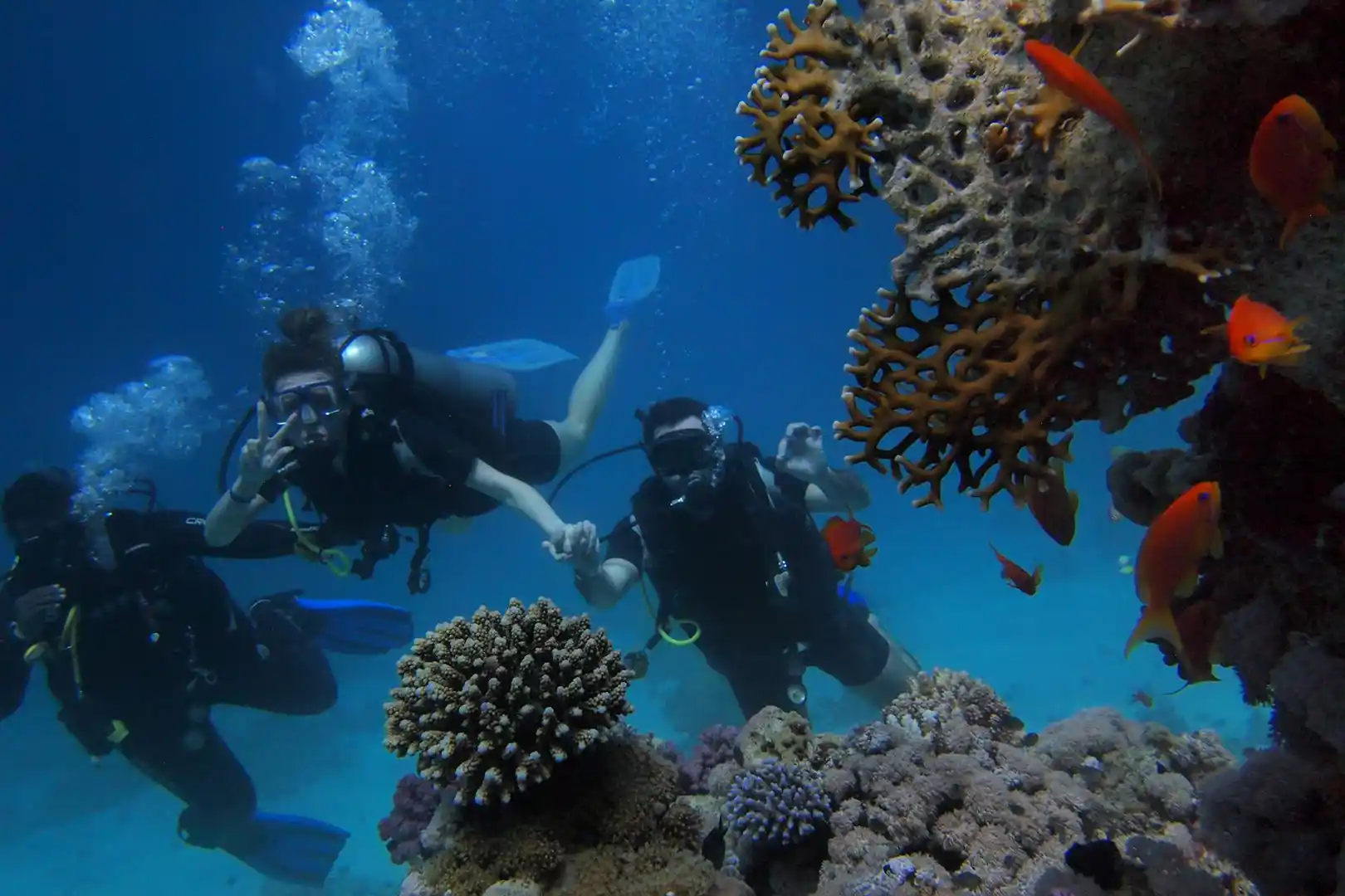 Snorkeling Tour