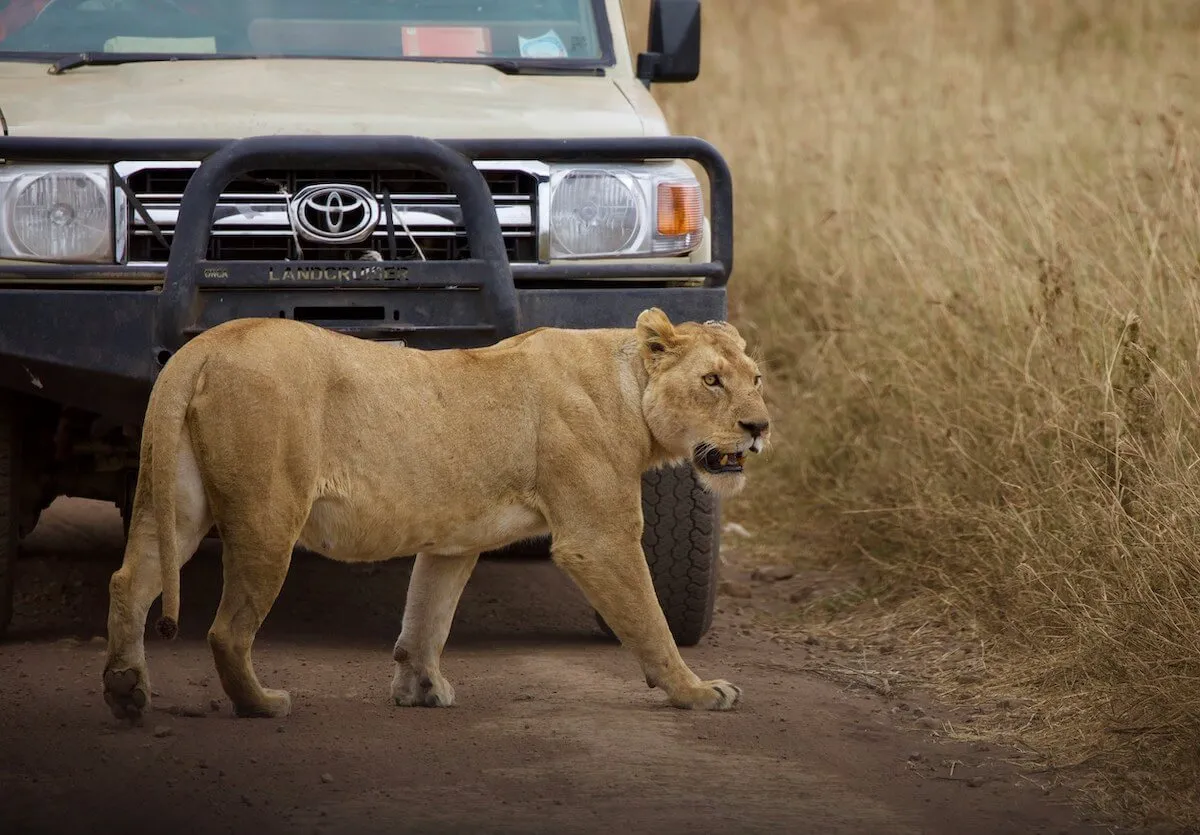 3 Nights Ngorongoro, Tarangire and Serengeti
